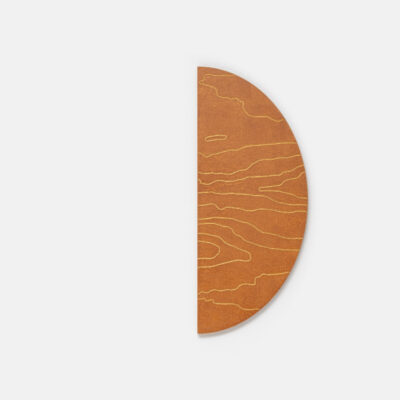 Kantarelli (kukeseen) III